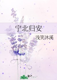 《宁北归安》