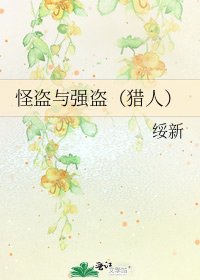 怪盗与强盗(猎人)