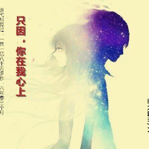 《只因,你在我心上》