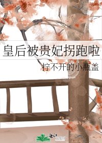 皇后被贵妃拐跑啦