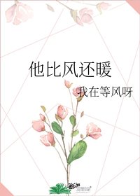 《他比风还暖》