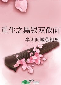 《重生之黑银双截面》