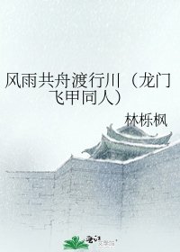 《风雨共舟渡行川(龙门飞甲同人)》