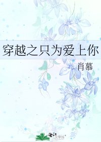 《穿越之只为爱上你》