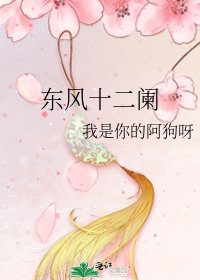 《东风十二阑》