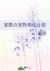 《家教の宠物养成计划》