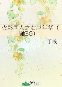 《火影同人之右岸年华(鼬BG)》
