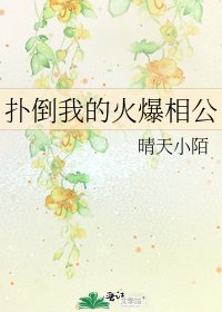 《扑倒我的火爆相公》