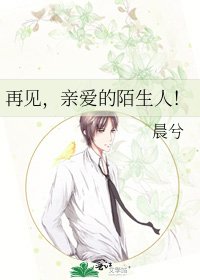 《再见,亲爱的陌生人!》