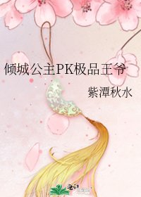 《倾城公主PK极品王爷》
