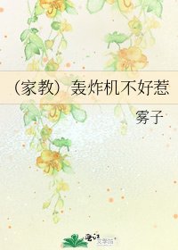 《(家教)轰炸机不好惹》