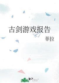《古剑游戏报告》