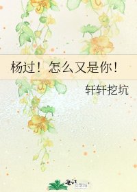 《杨过!怎么又是你!》