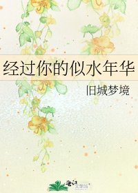《经过你的似水年华》