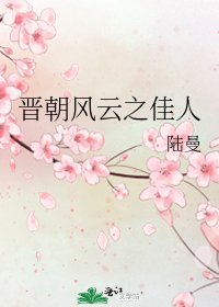 《晋朝风云之佳人》