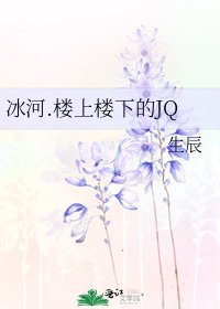 《冰河.楼上楼下的JQ》
