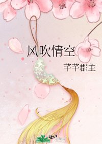 《风吹情空》