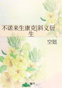 《不诺来生康克|斜义衍生》