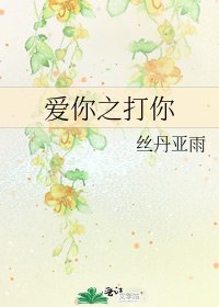 《爱你之打你》