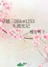 《穿越三国・流光记》