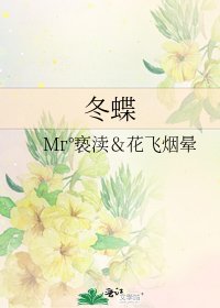 《冬蝶》
