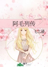《阿毛列传》