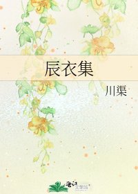 《辰衣集》