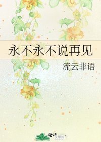 《永不永不说再见》