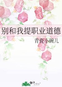 《别和我提职业道德》