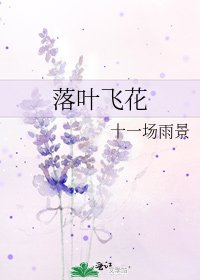 《落叶飞花》