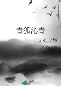 《青狐沁青》