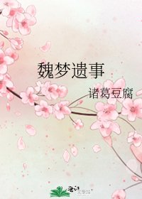 《魏梦遗事》