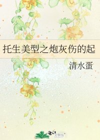 《托生美型之炮灰伤的起》