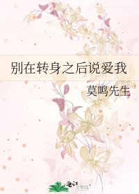 《别在转身之后说爱我》