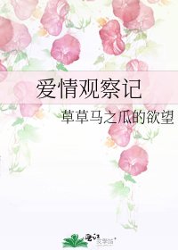 《爱情观察记》