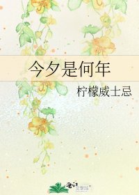 《今夕是何年》