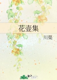 《花壶集》