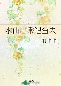 《水仙已乘鲤鱼去》