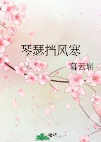 《琴瑟挡风寒》
