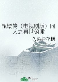《甄嬛传(电视剧版)同人之再世俯瞰》
