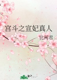 宫斗之宣妃真人