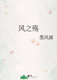《风之殇》