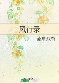 《风行录》