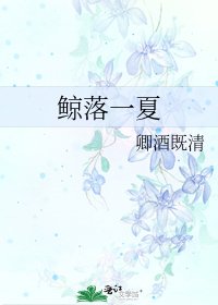 《鲸落一夏》
