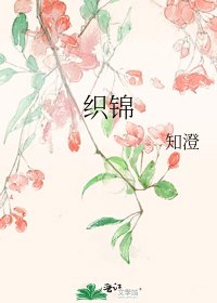 《织锦》