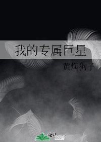 《我的专属巨星》