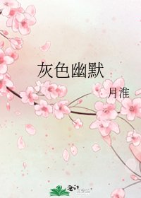 《灰色幽默》