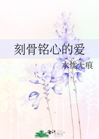 《刻骨铭心的爱》