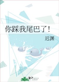 你踩我尾巴了！
