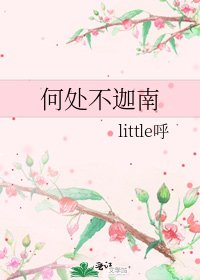 《何处不迦南》
